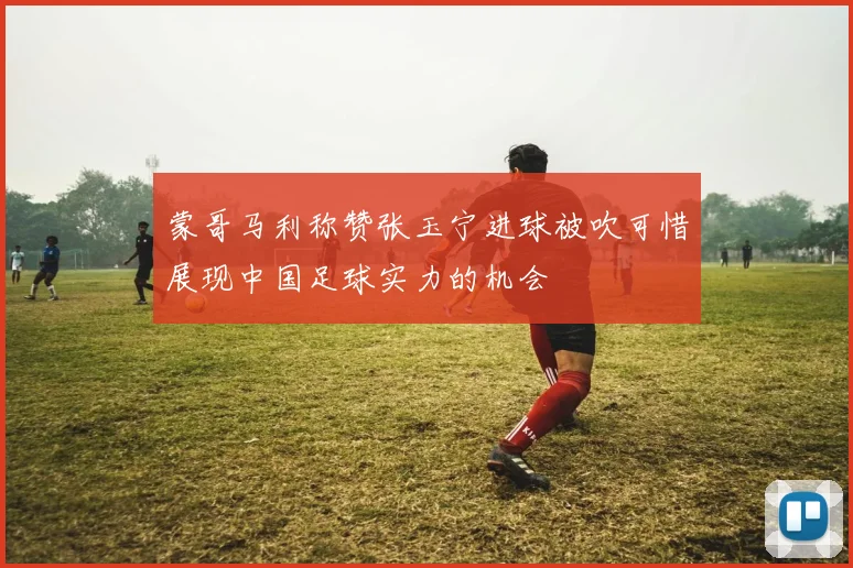 蒙哥马利称赞张玉宁进球被吹可惜展现中国足球实力的机会