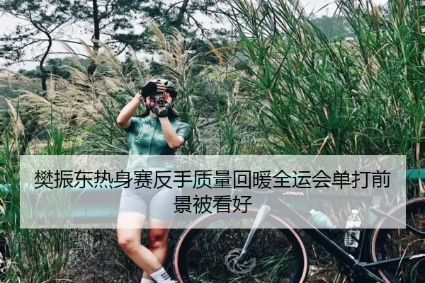 樊振东热身赛反手质量回暖全运会单打前景被看好